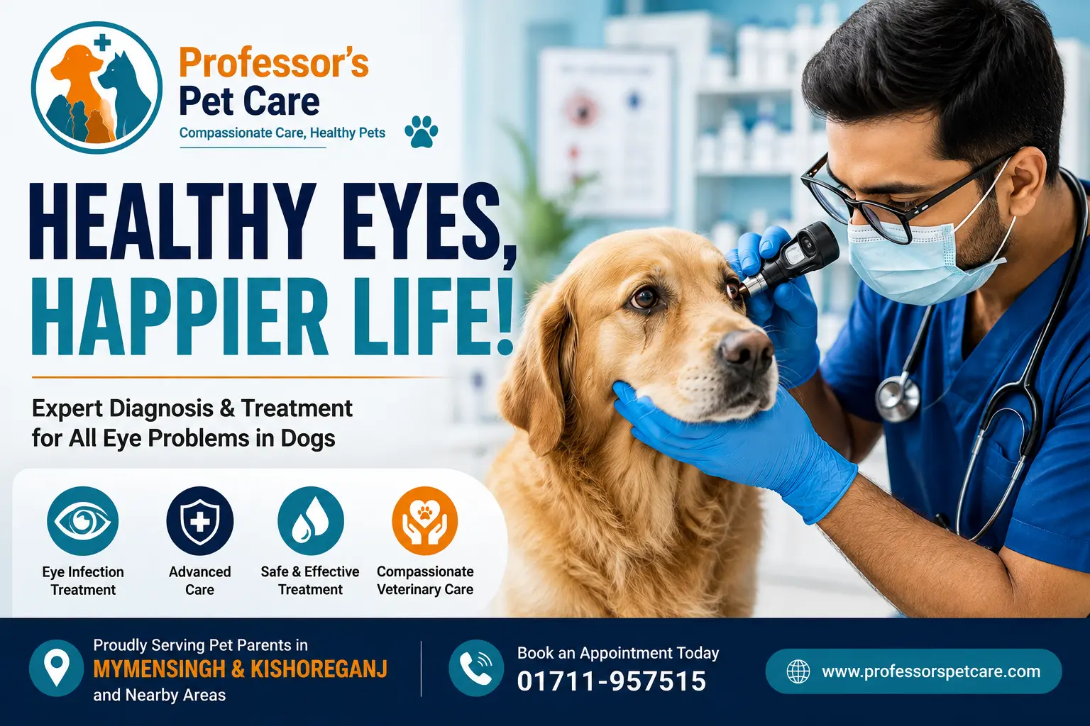 Dog Eye Infection Treatment